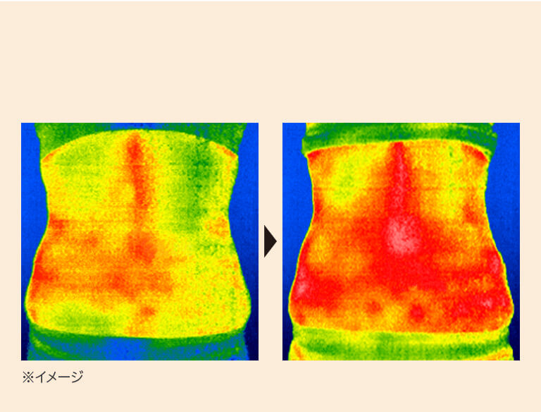 ※サーモグラフィカメラによる表面温度の比較