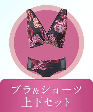 ブラ&ショーツ ON