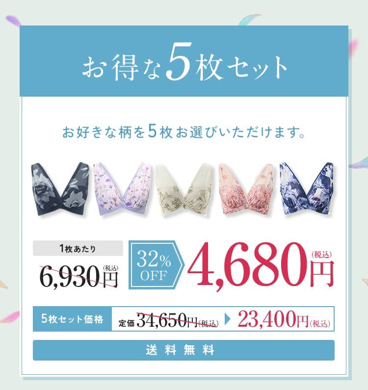 ノンジー「シームレスブラ」お得な5枚セット